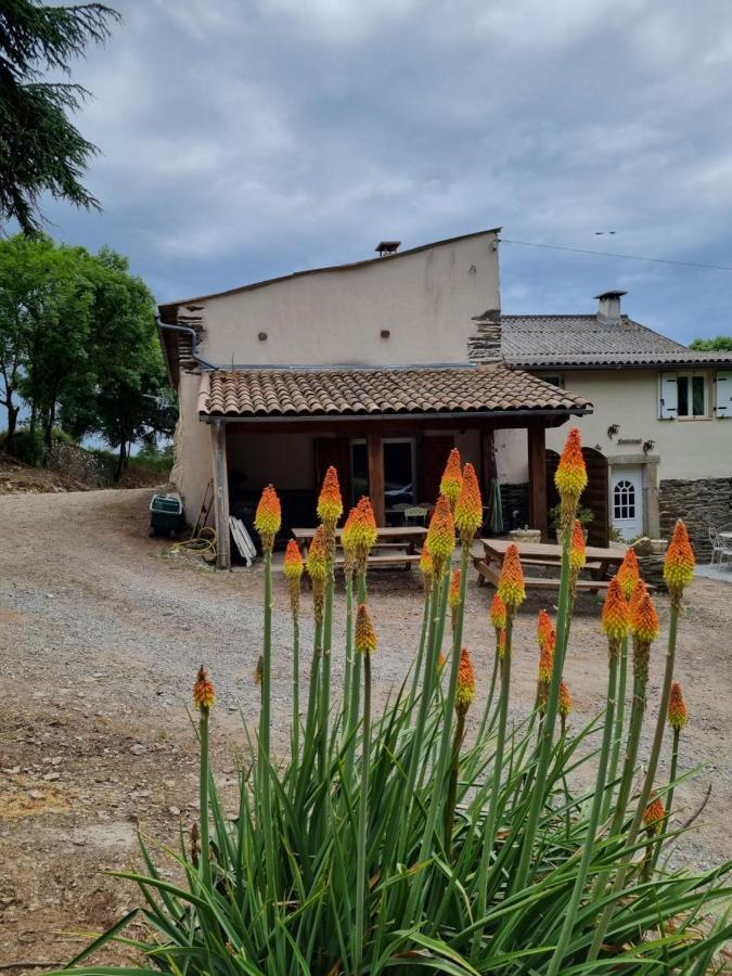 Вилла L'Oeil De Carcassonne Caudebronde Экстерьер фото